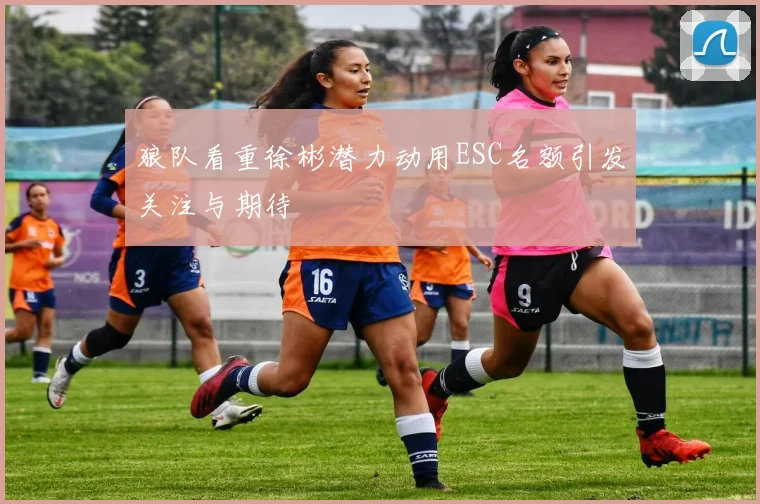 狼队看重徐彬潜力动用ESC名额引发关注与期待